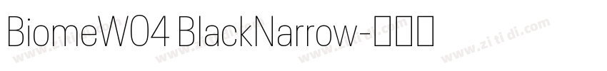 BiomeW04 BlackNarrow字体转换 BiomeW04 BlackNarrow字体转换